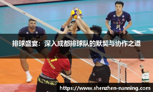 排球盛宴：深入成都排球队的默契与协作之道