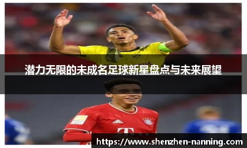 潜力无限的未成名足球新星盘点与未来展望