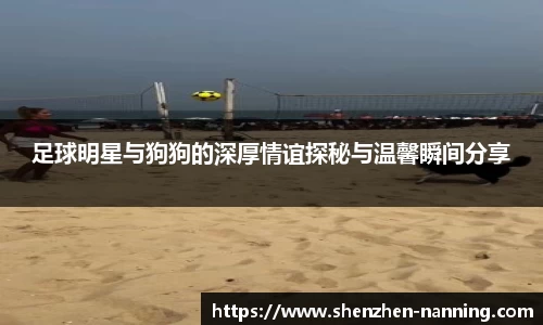 足球明星与狗狗的深厚情谊探秘与温馨瞬间分享